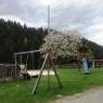 SkiWelt Wilder Kaiser-Brixental  - Ferienwohnung Obermühlberg