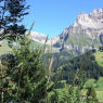 Adelboden - Sunnegruess