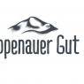 Schladming-Dachstein - Appartement Oppenauer Gut