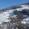 Schladming-Dachstein - Steinwenderhof