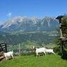 Schladming-Dachstein - Hotel Breilerhof