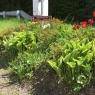 Schladming-Dachstein - Appartement Livia