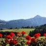 Flachau - Alpin Apart