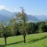 SkiWelt Wilder Kaiser-Brixental  - Appartement Vorderlaiming