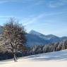 SkiWelt Wilder Kaiser-Brixental  - Bauernhof Obholzhof - Peter u. Maria Feger