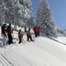 Schladming-Dachstein - Haus Grimmingblick