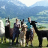 Schladming-Dachstein - Klausnerhof