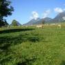 Schladming-Dachstein - Arnoldhof - Bauernhof