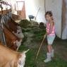 Schladming-Dachstein - Sonnenhof - Familie Seebacher