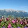 SkiWelt Wilder Kaiser-Brixental  - Salina, Haus