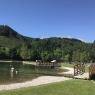 Schladming-Dachstein - Piekvier Ski Lodge