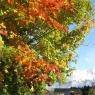 Schladming-Dachstein - 