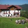 Schladming-Dachstein - Vom Reiter