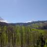 Grindelwald - Chalet Eiger