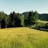 SkiWelt Wilder Kaiser-Brixental  - Ferienwohnung Wohlschlager