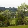 SkiWelt Wilder Kaiser-Brixental  - Appartements Kinzl S'Zirbenstüberl