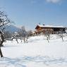 SkiWelt Wilder Kaiser-Brixental  - Stegerbauer, Haus