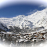 Saas Fee - Aster