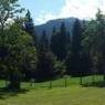 SkiWelt Wilder Kaiser-Brixental  - Ferienwohnung Schrandl