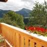 SkiWelt Wilder Kaiser-Brixental  - Bauernchalet
