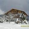SkiWelt Wilder Kaiser-Brixental  - Almblick