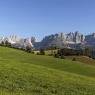 SkiWelt Wilder Kaiser-Brixental  - Appartement Hörbst