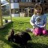 SkiWelt Wilder Kaiser-Brixental  - Seiwald, Familien-Wellnessresort