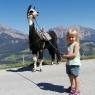 Schladming-Dachstein - Klausnerhof