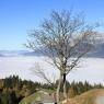 SkiWelt Wilder Kaiser-Brixental  - Haus Auwinkl
