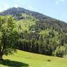 Schladming-Dachstein - Zauneralm