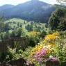 Schladming-Dachstein - Stammerhof