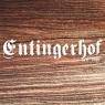 Schladming-Dachstein - Entingerhof