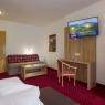 SkiWelt Wilder Kaiser-Brixental  - Hotel Alpin