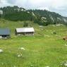 Schladming-Dachstein - Haus Guschelbauer