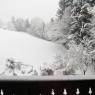 Schladming-Dachstein - Appartements Kofler