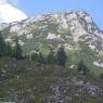 Schladming-Dachstein - Haus Guschelbauer