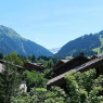 Gstaad - Im Wiesengrund