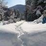 SkiWelt Wilder Kaiser-Brixental  - Ferienwohnungen Saghäusl - Michaela Gruber