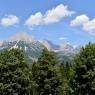 SkiWelt Wilder Kaiser-Brixental  - Ferienwohnung Obermühlberg