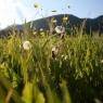 Schladming-Dachstein - Haus Ennstalblick
