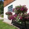 Schladming-Dachstein - Haus Moser