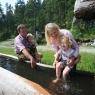 Schladming-Dachstein - Hotel Gut Raunerhof