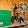 Schladming-Dachstein - Hüttstädterhof - Familie Pötsch