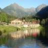 Schladming-Dachstein - Alpenblume