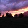 Schladming-Dachstein - Steinwenderhof