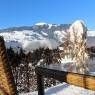 SkiWelt Wilder Kaiser-Brixental  - Appartement Ortner