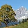 Schladming-Dachstein - Strickhof