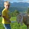 Schladming-Dachstein - Abelhof