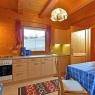 SkiWelt Wilder Kaiser-Brixental  - Sabine Payr - Ferienwohnung Wilder Kaiserblick