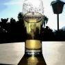 Schladming-Dachstein - Asingerhof